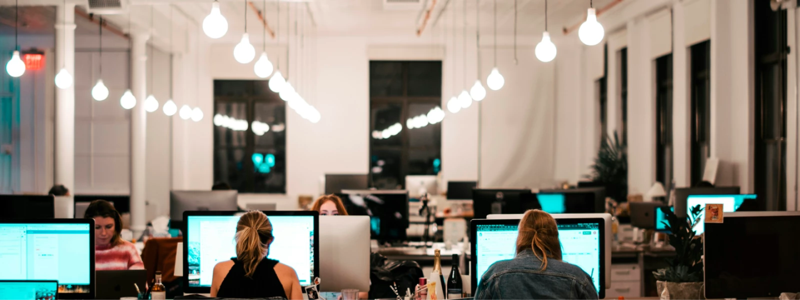 Boink Talent Agency header