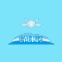 Caelus Management