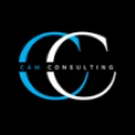 Cam Consulting