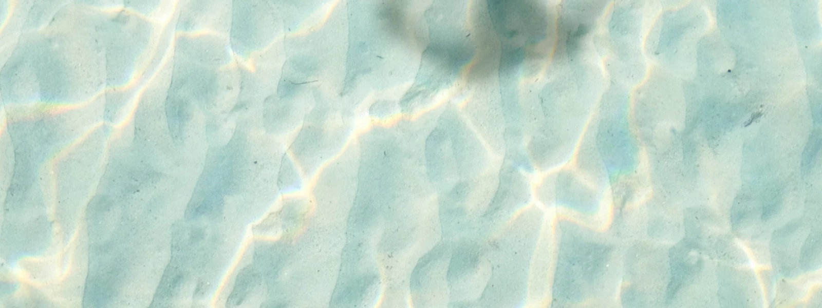 Venezia Agency header