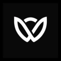walzex media