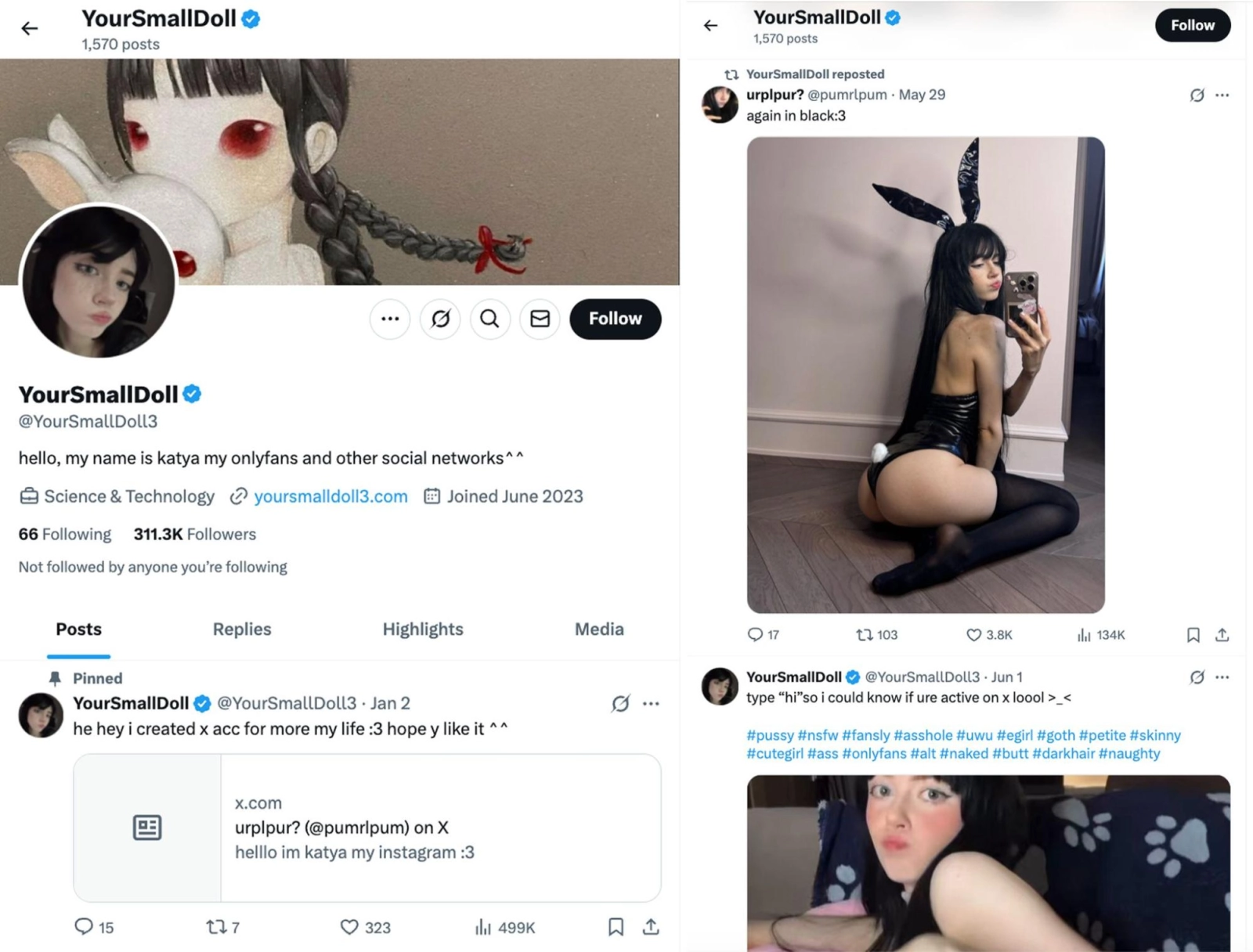Example of the OnlyFans models Twitter page