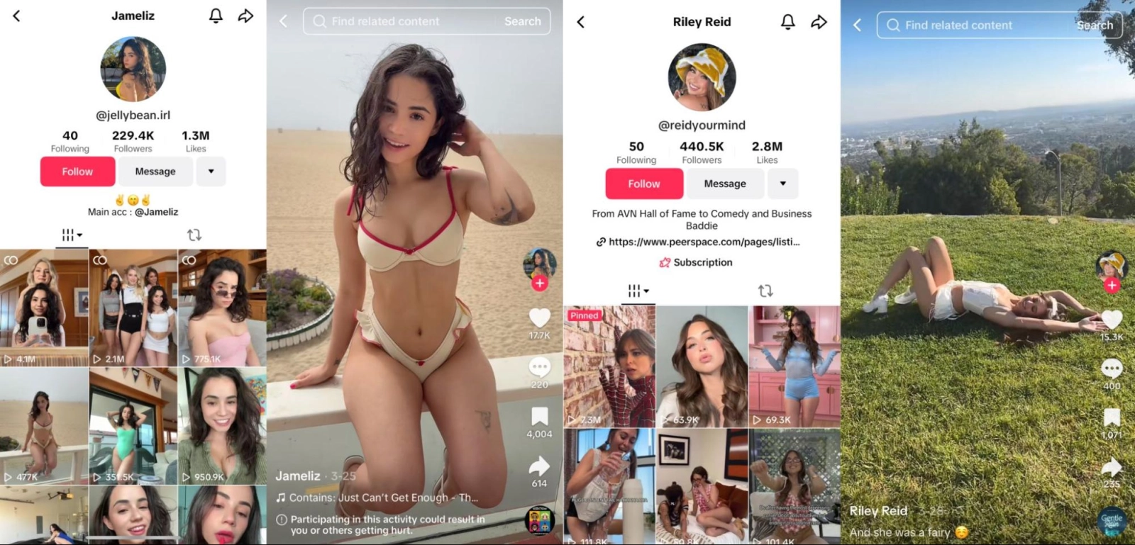 Maintaining a TikTok account in blog format