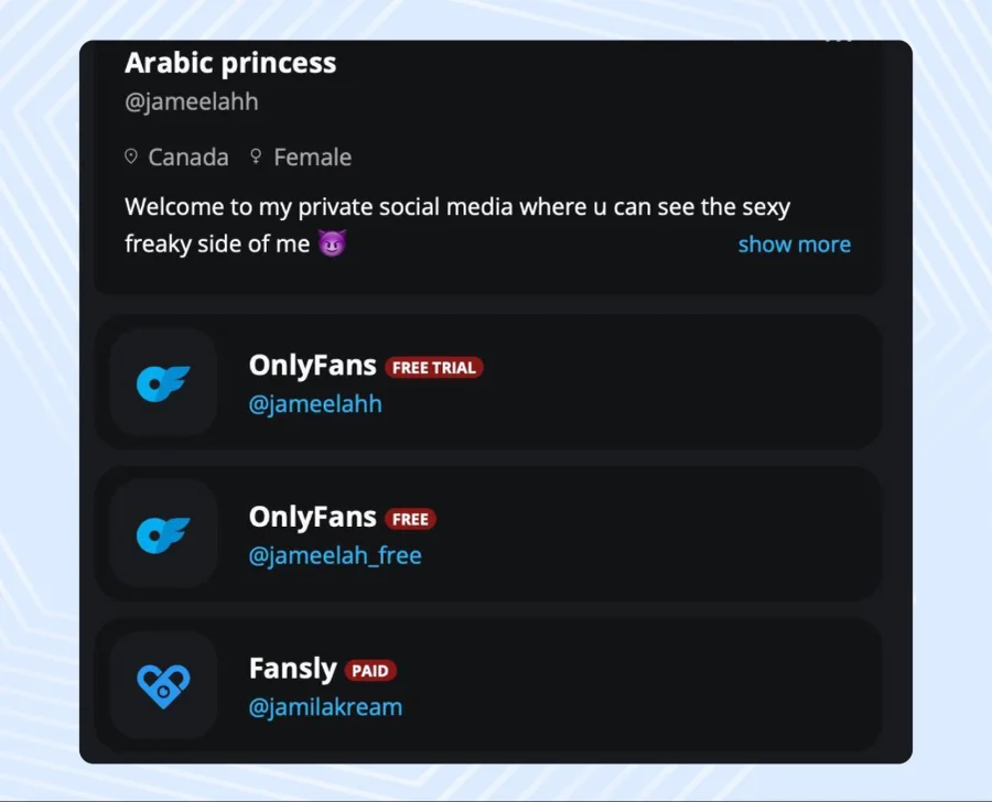 Внешний вид анкеты модели