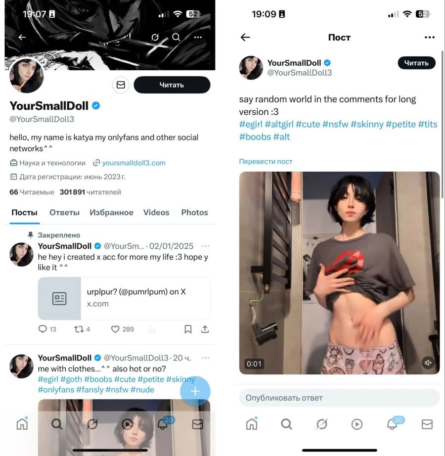 Пример страницы модели в Twitter