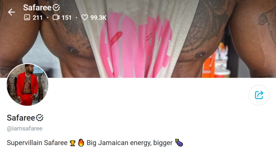 Lifestyle influencer and content creator Safaree