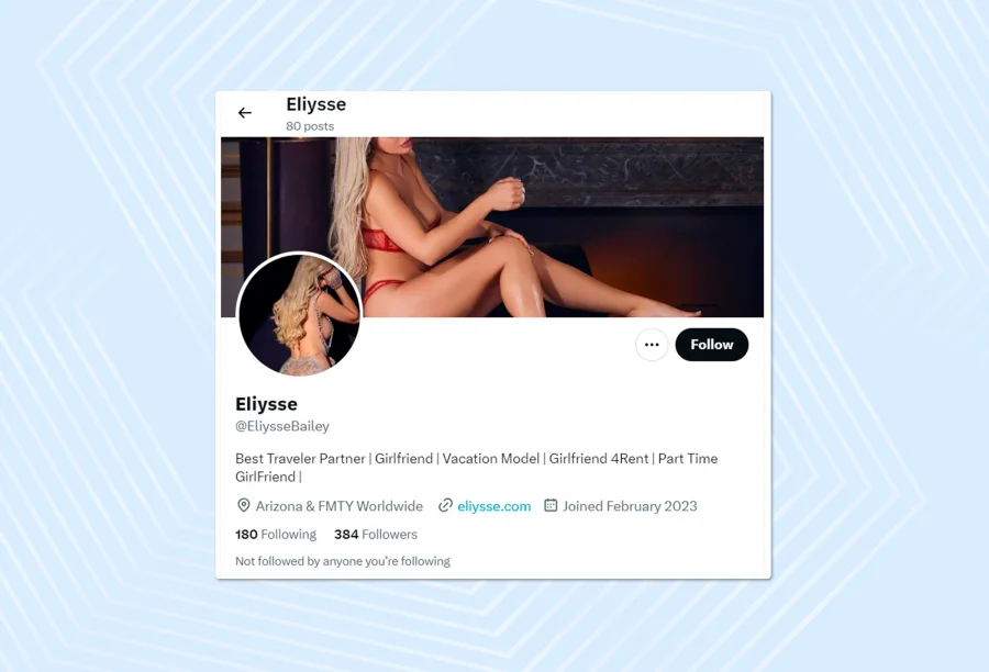 Model profile on X
